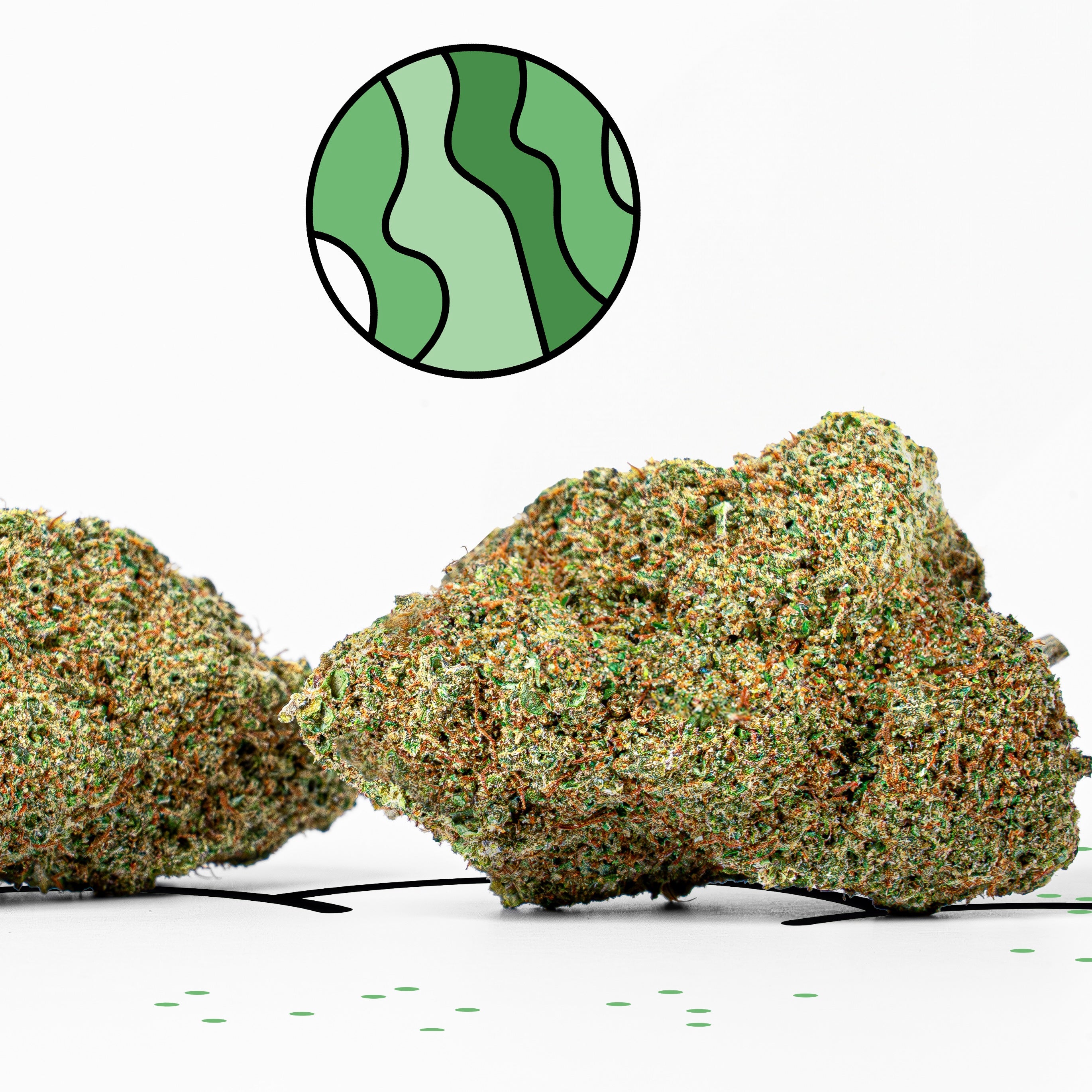 Fleur de CBD Amnesia